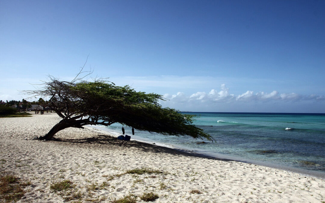Fill your itinerary with free things to do in Aruba