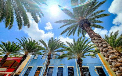 Aruba Sightseeing: Top 5 Sceneries You Can’t Miss