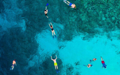 Isla di Oro in Aruba: Discover its hidden mangroves and marine life