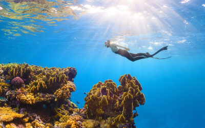 Top 4 Aruba Diving Destinations