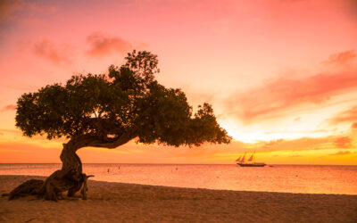 Best Beaches in Aruba and Clearest Water