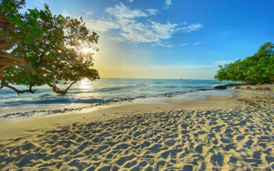 Aruba: the ideal vacation getaway to disconnect