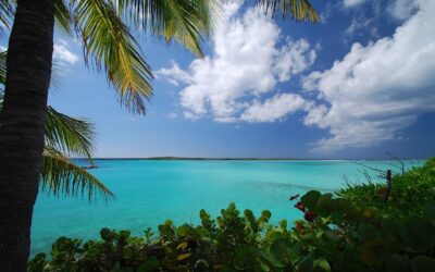 3 facts about Aruba that you probably didn’t know