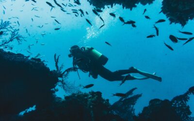 Why the Jane Sea shipwreck in Aruba is a must-visit for snorkelers