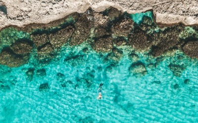 Aruba travel guide: things you must know about the island