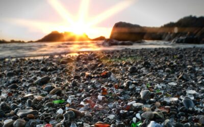 Explore Sea Glass Island in Aruba: Location and visitor tips