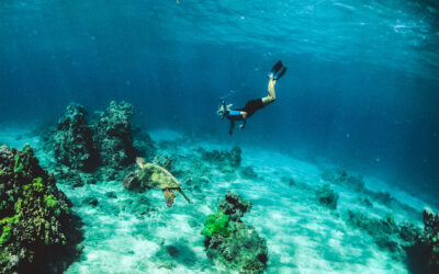 Top 3 Experiences You Can’t Miss in Aruba